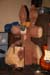 Psychose Coyote Caf�